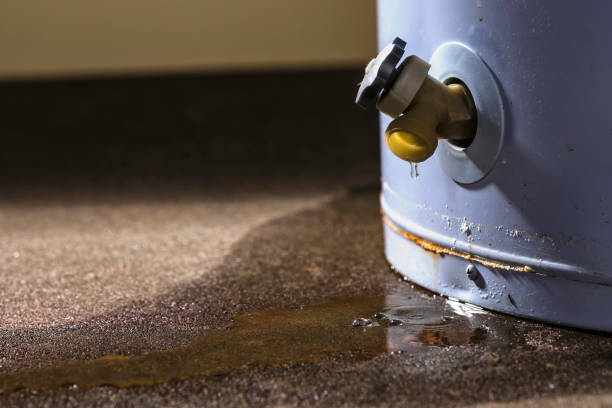 Best Flooded house restoration  in Manche Village, CA