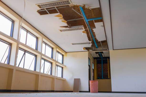 Best Local water damage restoration  in Manche Village, CA