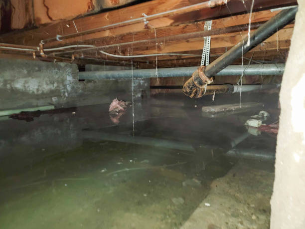 Water damage restoration insurance claims in Camanche Village, CA