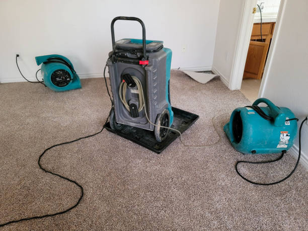 Best Water damage restoration company  in Manche Village, CA