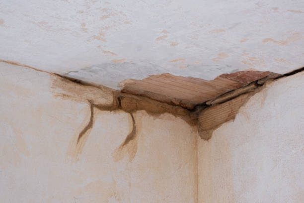 Best 24-hour water damage restoration  in Manche Village, CA