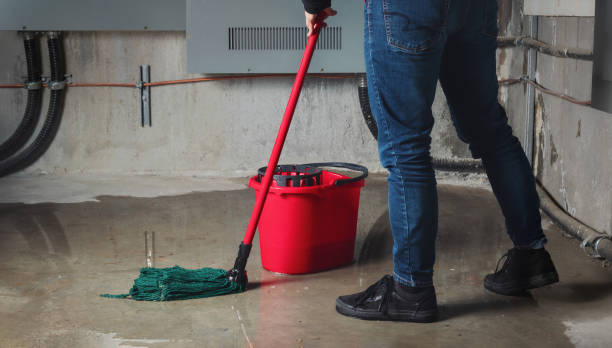 Best Residential water damage restoration  in Manche Village, CA