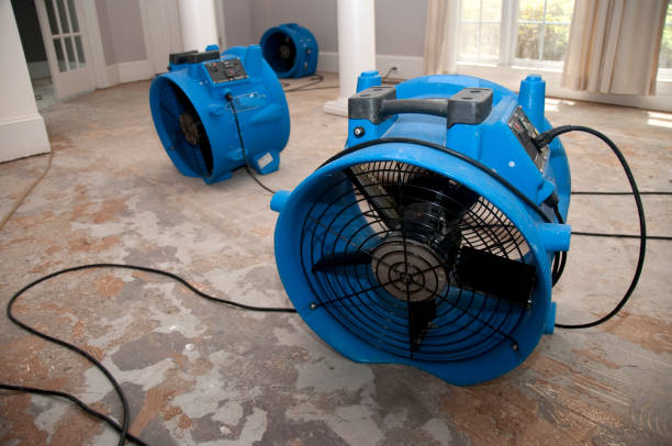 Best Residential water damage restoration  in Manche Village, CA