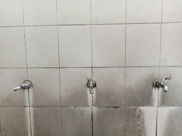Best Basement water damage restoration  in Manche Village, CA