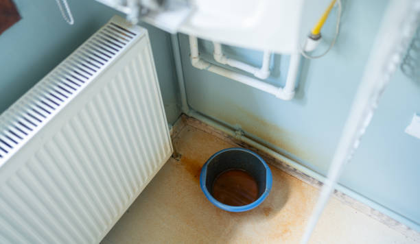 Best Flood restoration services  in Manche Village, CA