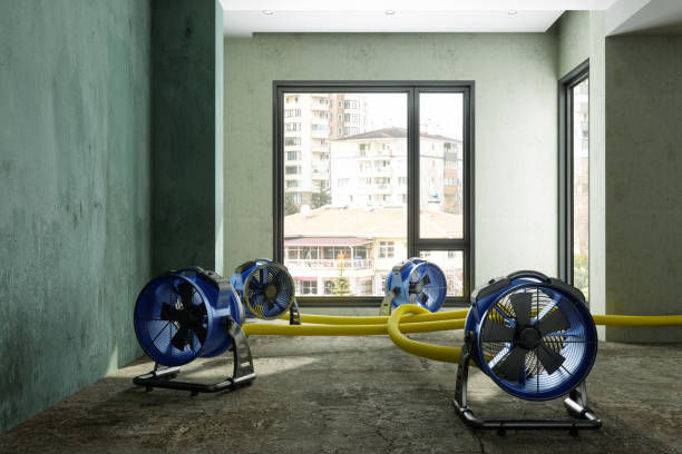 Best Sewage cleanup and water damage restoration  in Manche Village, CA